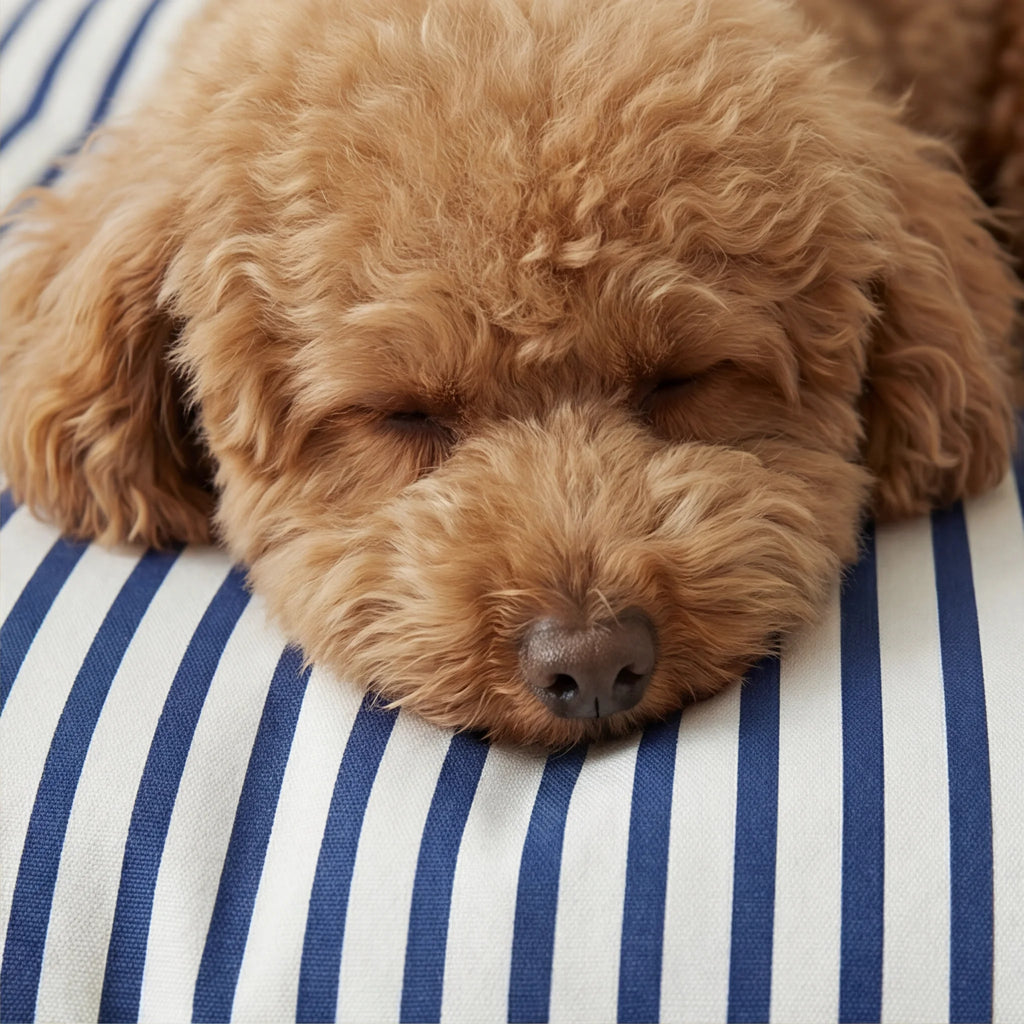 Stain-resistant removable pet bed Tavernes