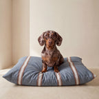 Cama para mascotas desenfundable antimanchas Teja Azul Soft