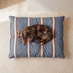 Cama para mascotas desenfundable antimanchas Teja Azul Soft