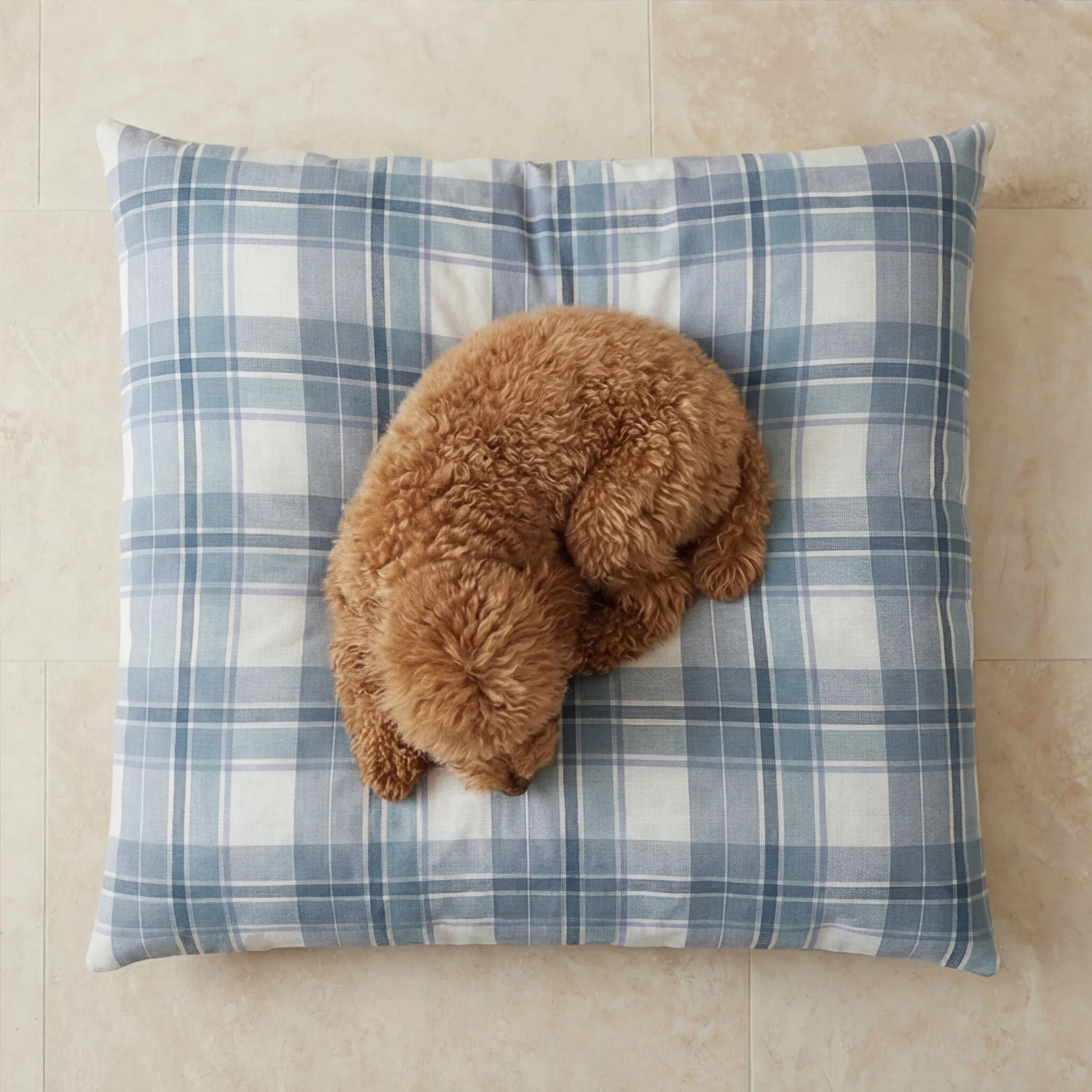 Lit pour animaux déhoussable antitaches Valdo Bleu