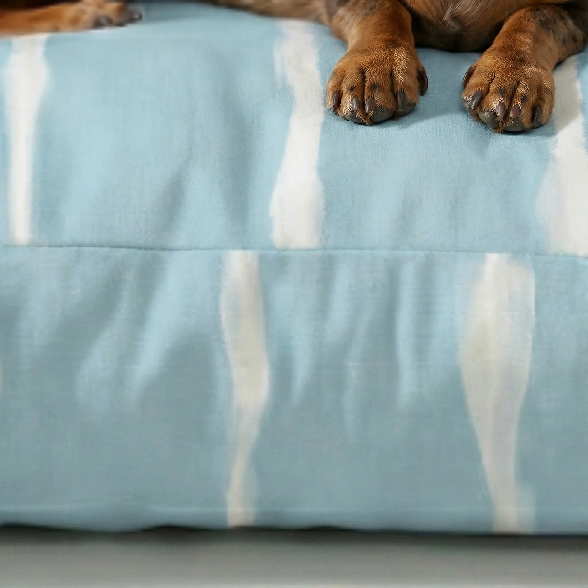 Lit pour animaux de compagnie Vera épais et rembourré avec finition résistante aux taches
