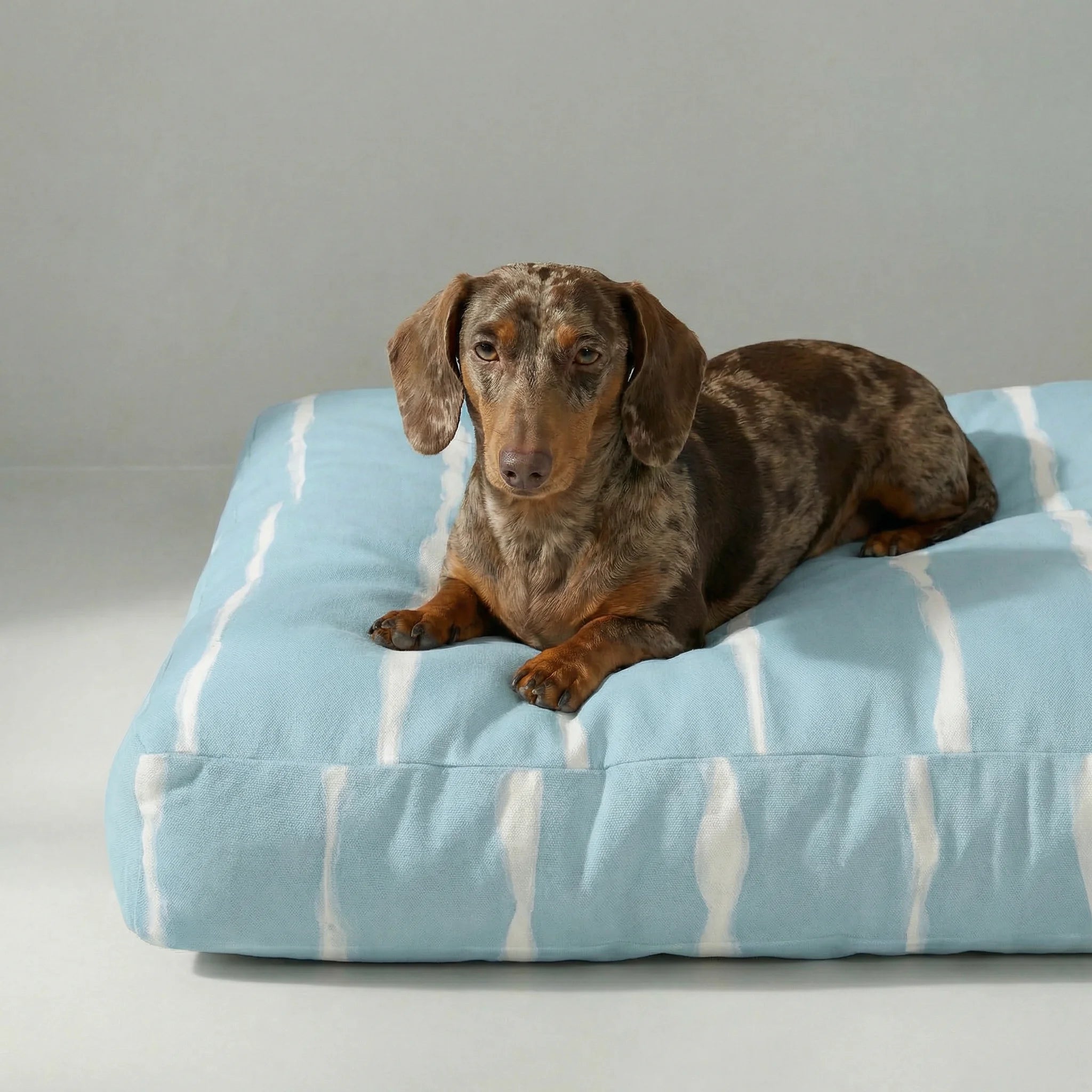 Lit pour animaux de compagnie Vera épais et rembourré avec finition résistante aux taches