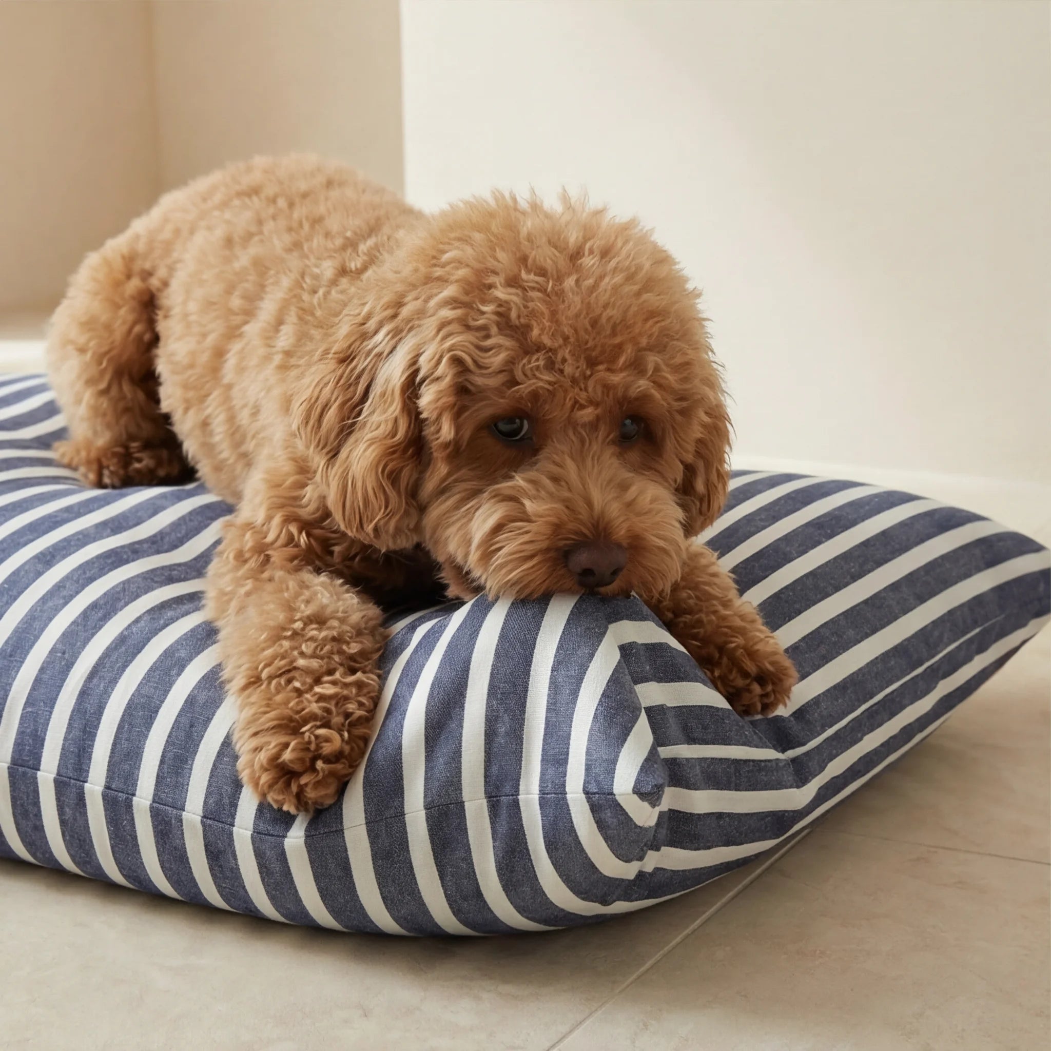 Lit pour animaux de compagnie déhoussable anti-taches Vinaros Petit