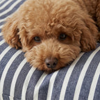 Small Vinaros Stain-Resistant Removable Pet Bed