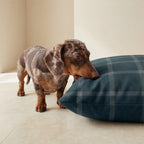 Willy Navy Stain-Resistant Removable Pet Bed