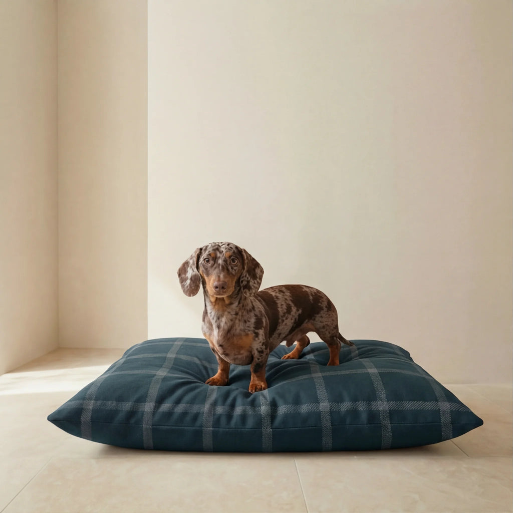 Willy Navy Stain-Resistant Removable Pet Bed