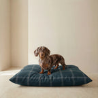 Willy Navy Stain-Resistant Removable Pet Bed