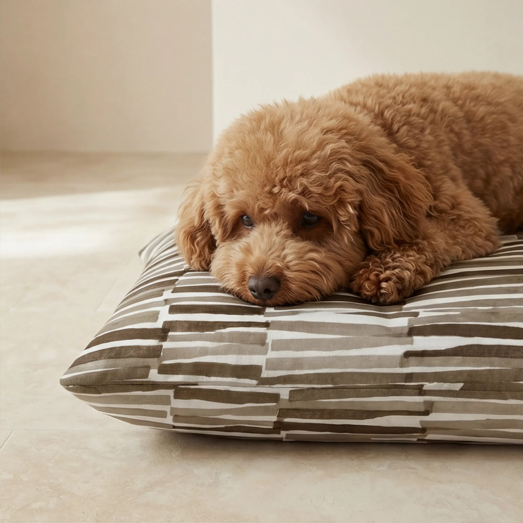 Xaló C removable stain-resistant pet bed
