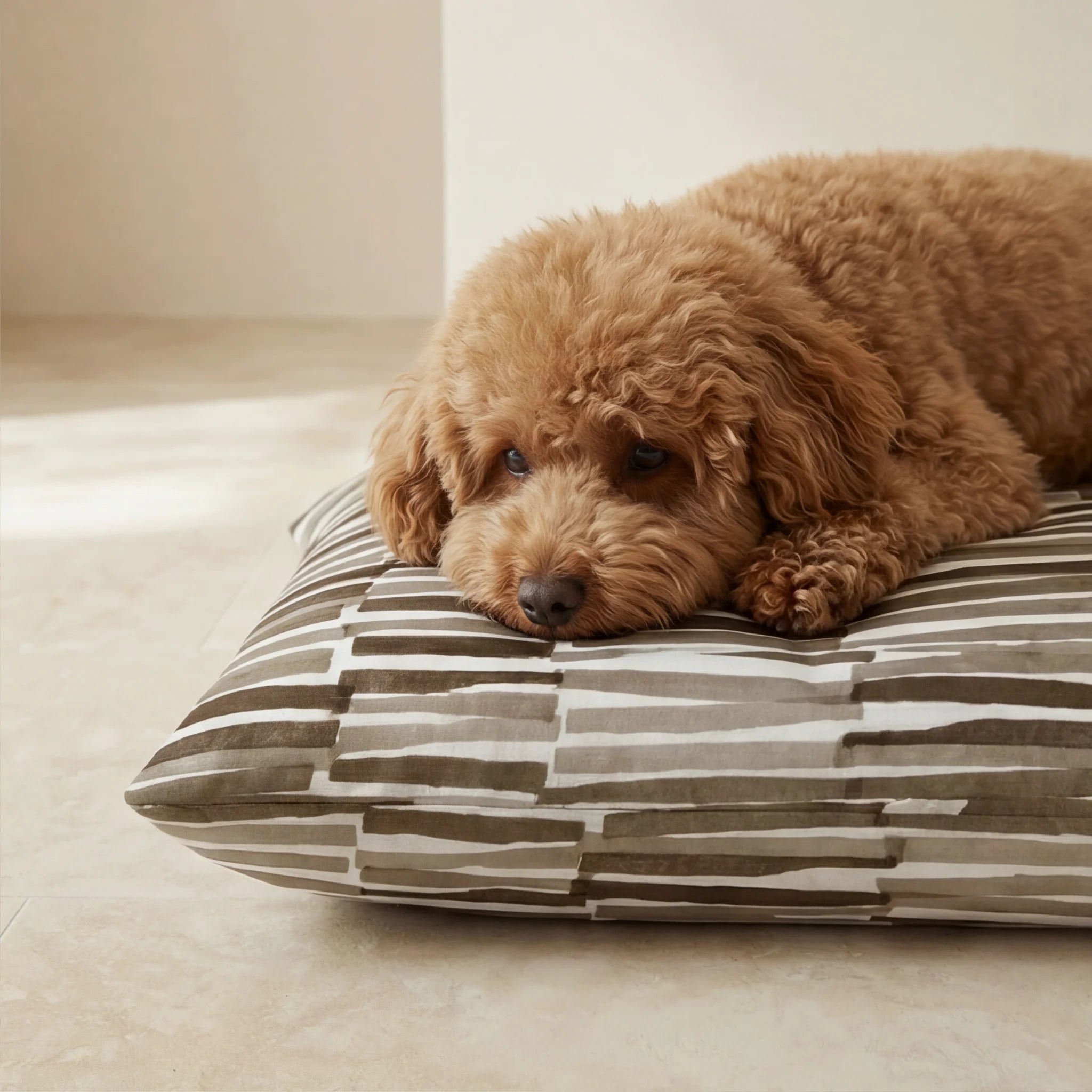 Stain-resistant Pet Bed Cover Xaló C