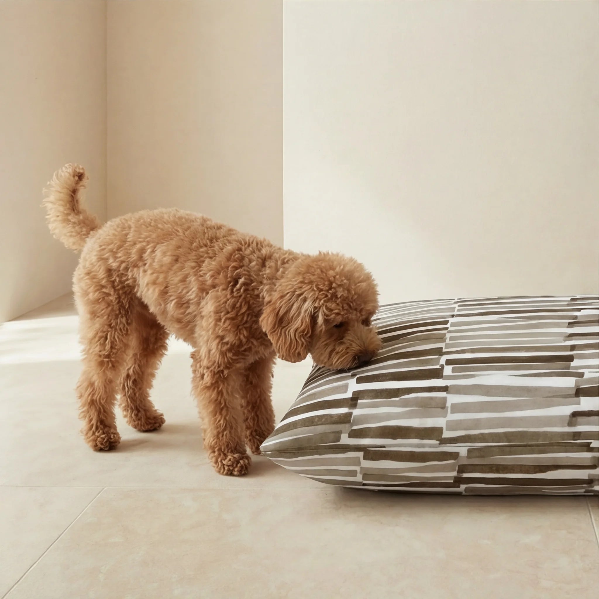 Lit pour animaux déhoussable antitaches Xaló C