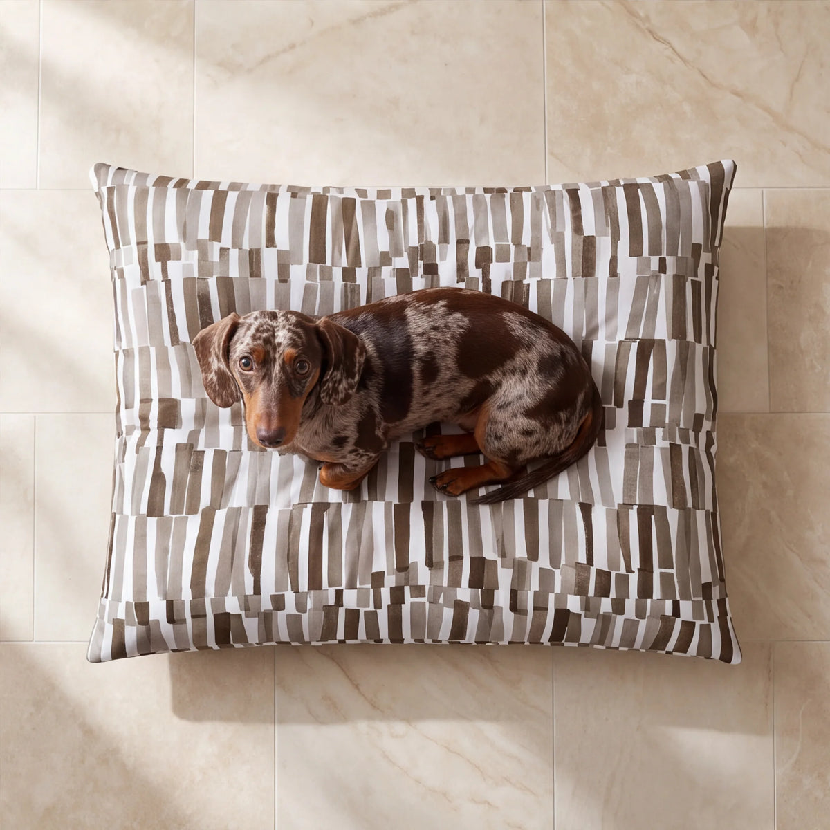 Vista cenital de perro salchicha acurrucado sobre cama estampada en marrón