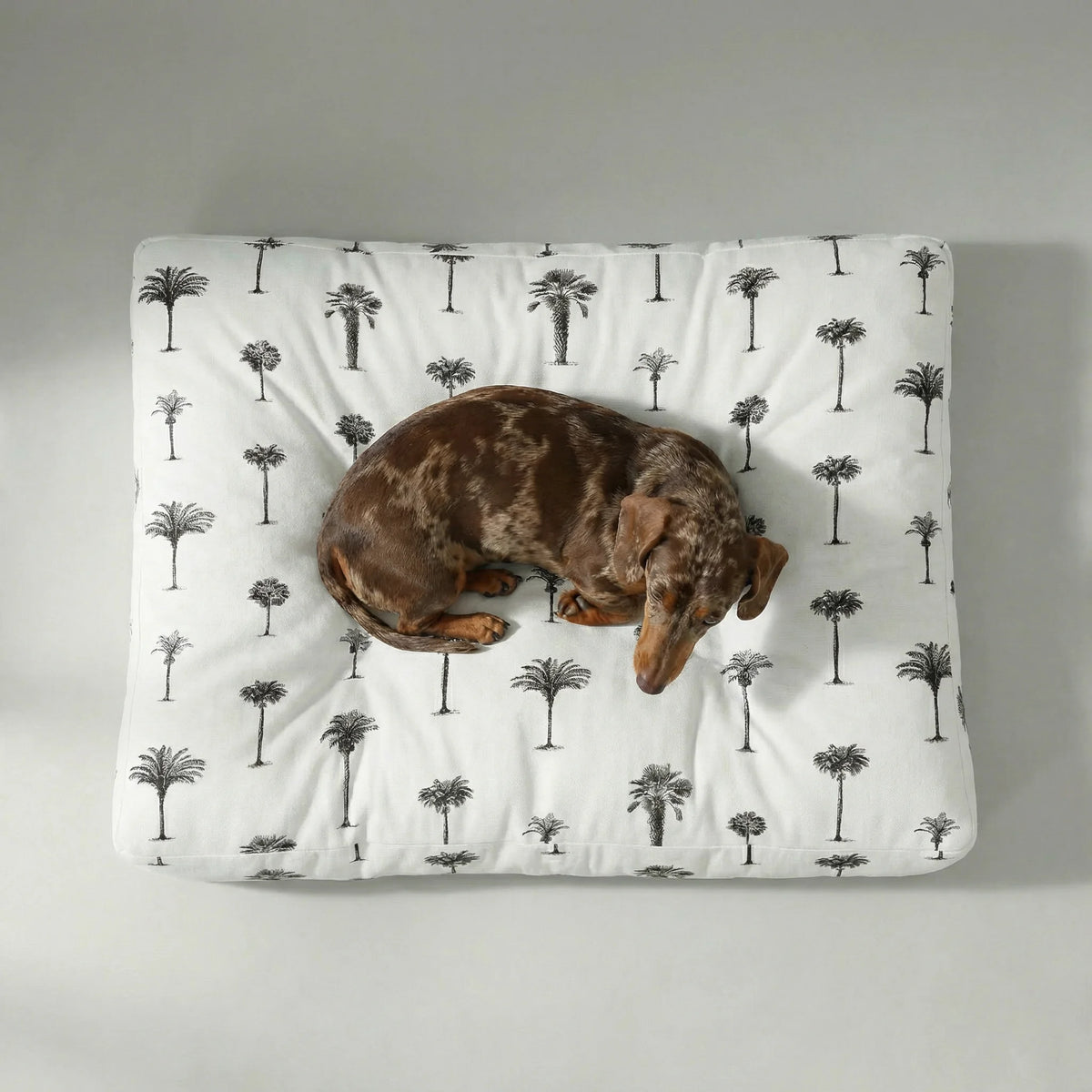 Xativa thick, padded pet bed with stain-resistant finish