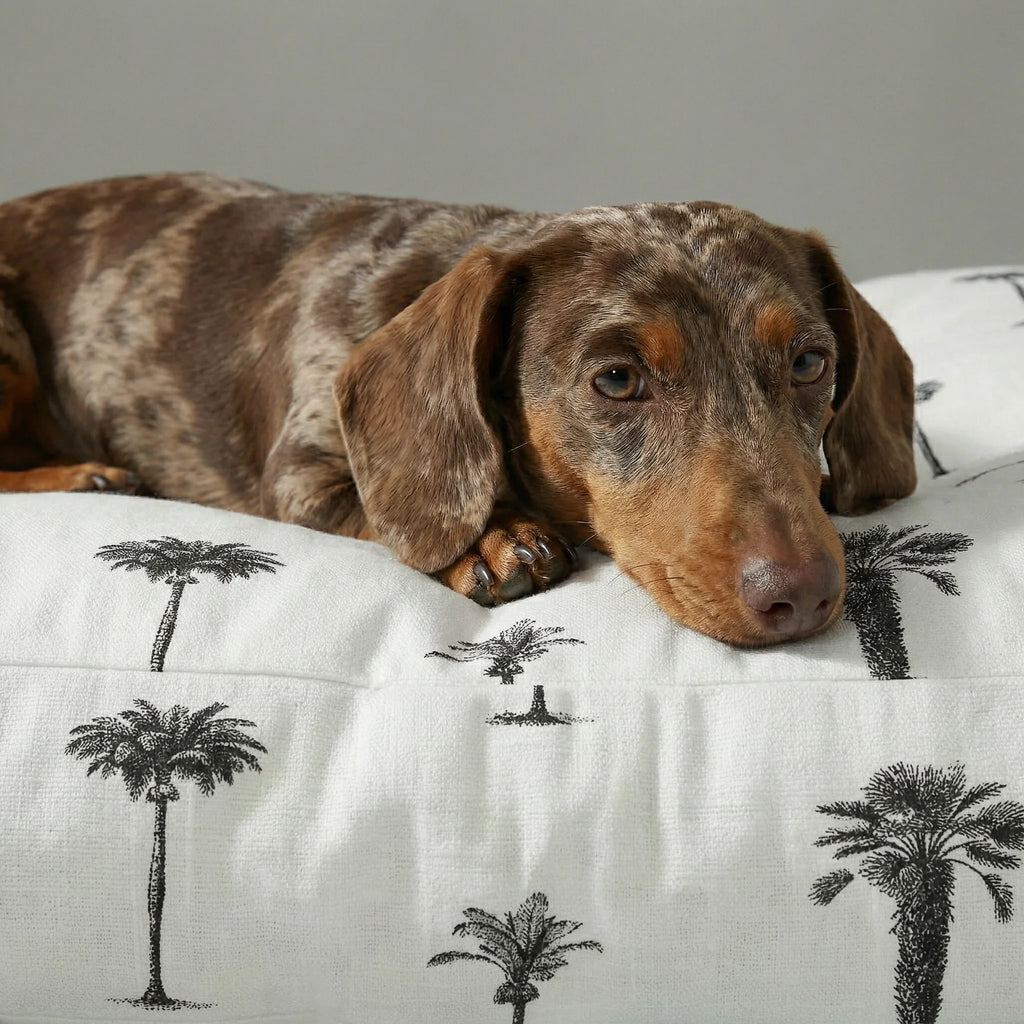 Xativa thick, padded pet bed with stain-resistant finish
