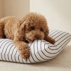 Ximo Stain-Resistant Pet Bed Cover