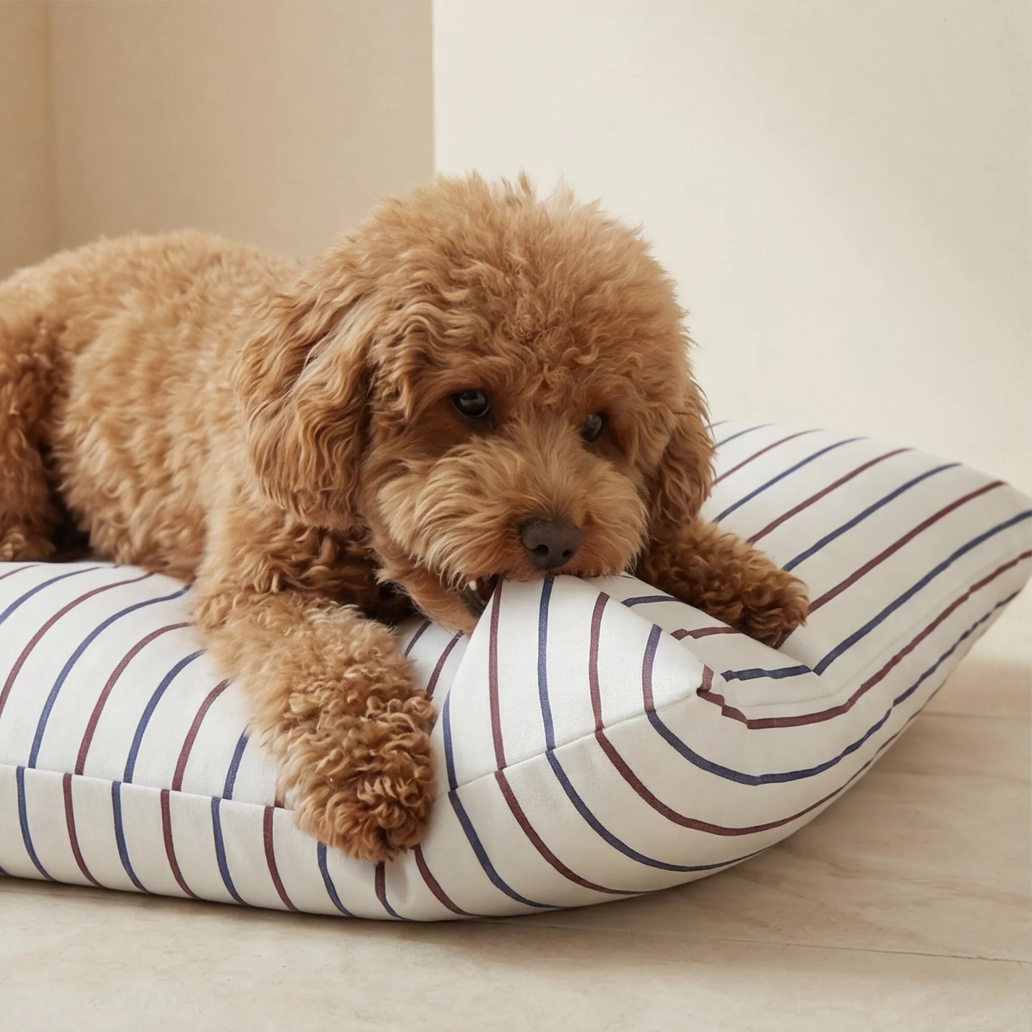 Lit pour animaux déhoussable antitaches Ximo