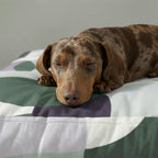 Cama para mascota gruesa y acolchada con acabado antimanchas York Lila