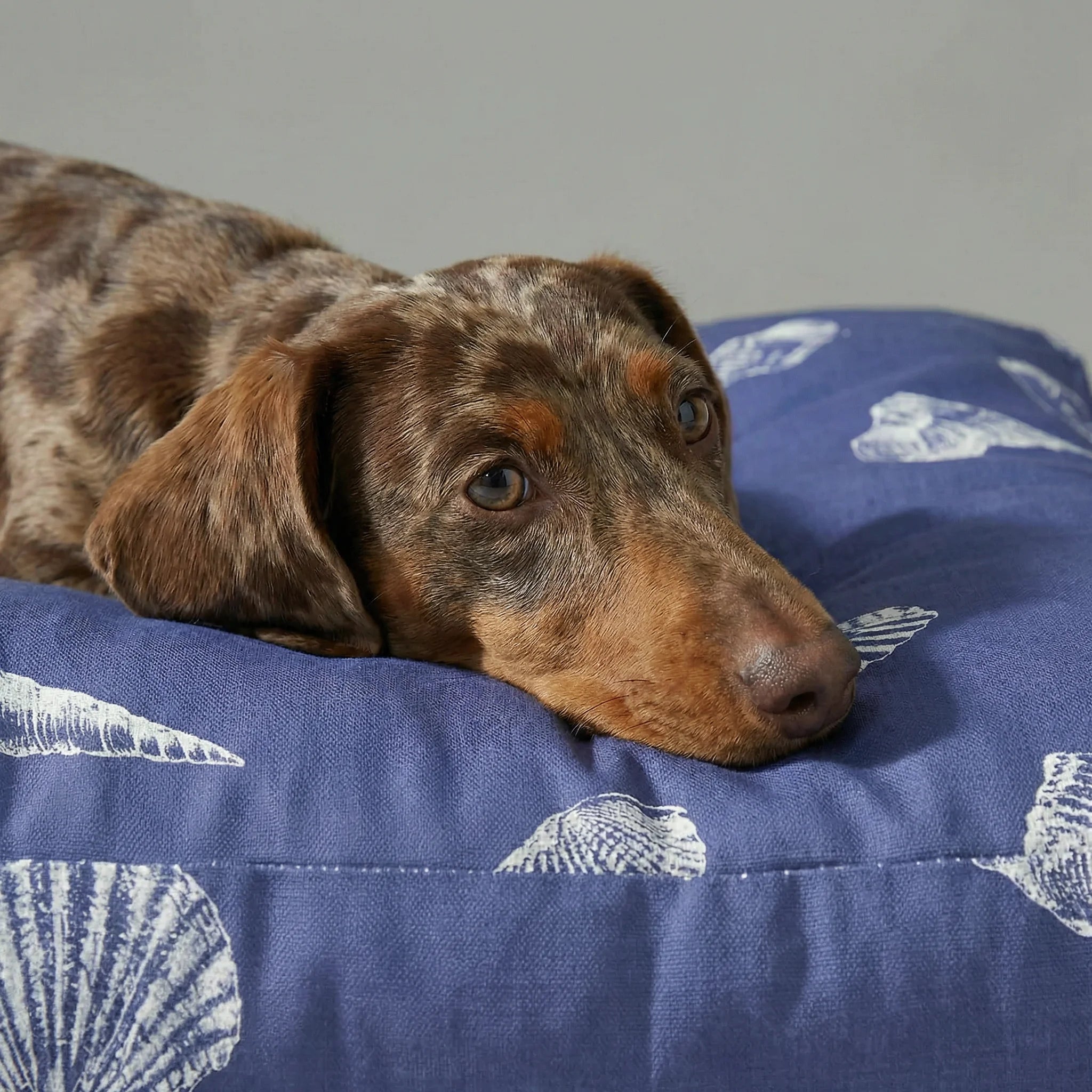 Couchage épais et rembourré pour animaux de compagnie avec finition anti-taches Dénia