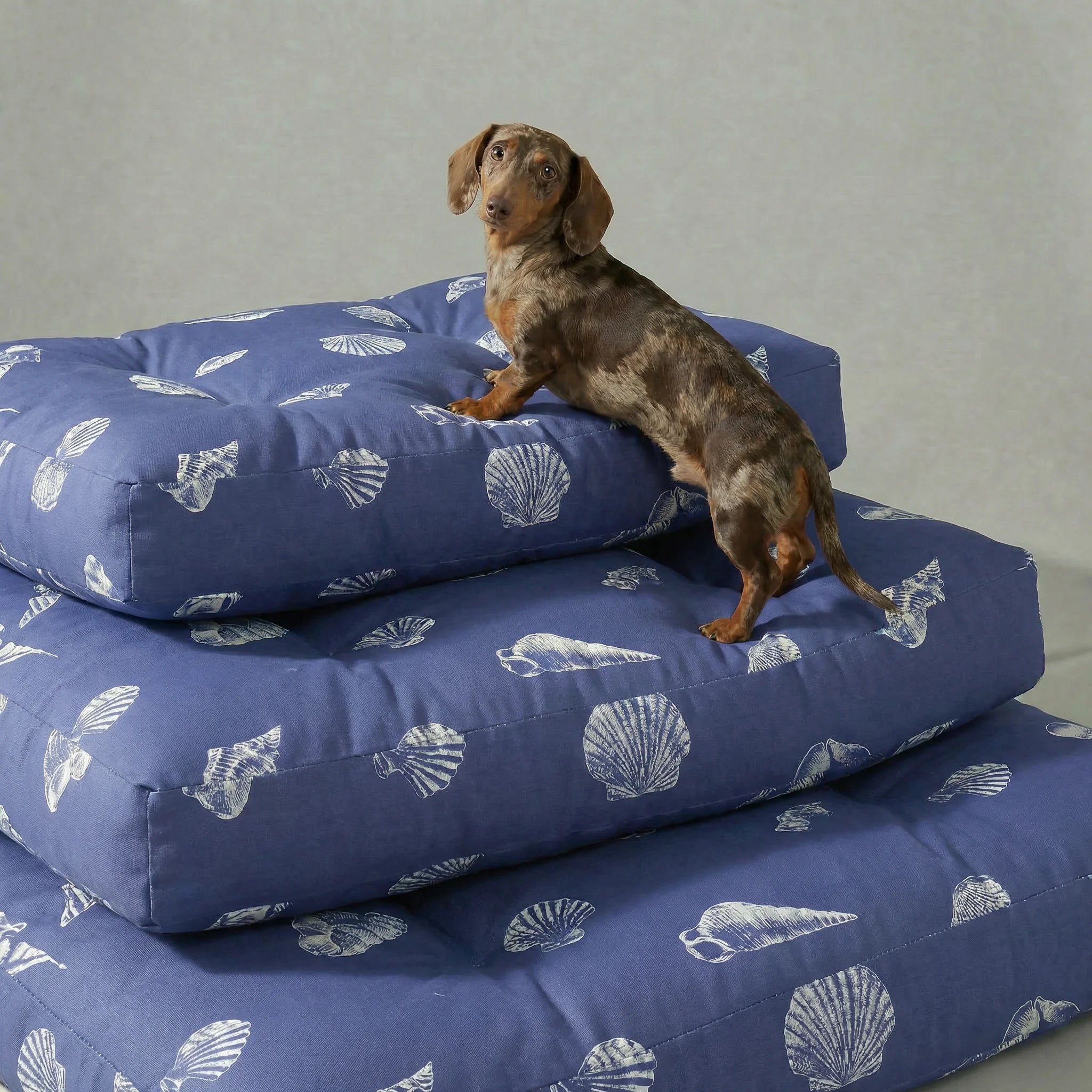 Couchage épais et rembourré pour animaux de compagnie avec finition anti-taches Dénia