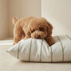 Stain-resistant Pet Bed Cover Ian Green